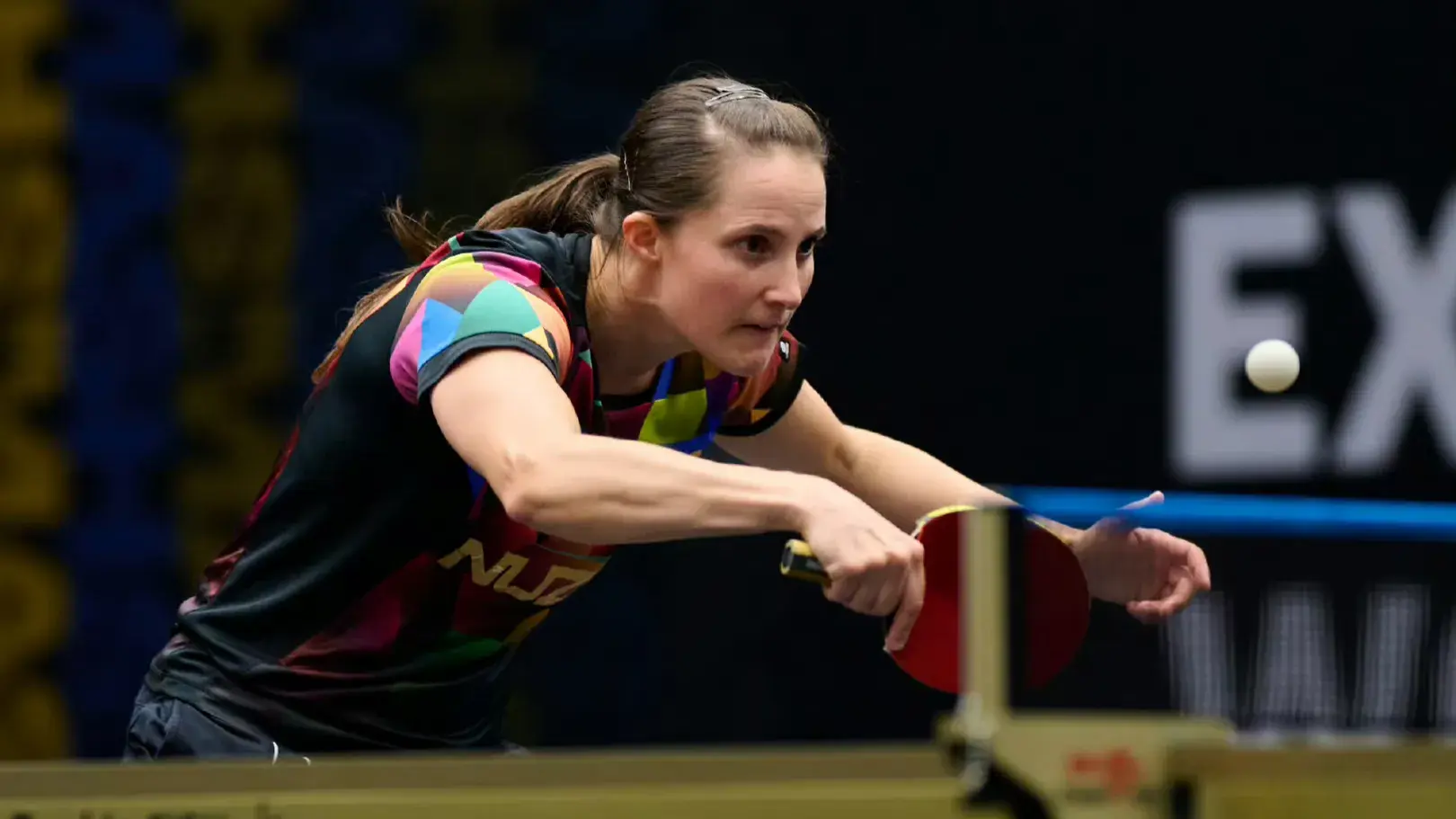 台内球控制, msn, 温特