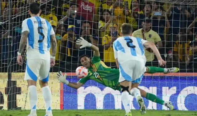 球员, 球队的双后