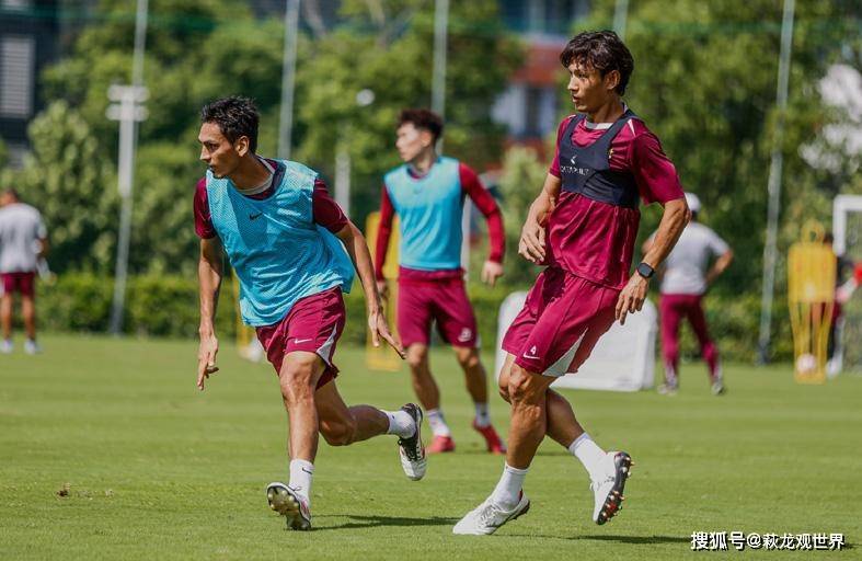 武磊长期伤 武磊长期伤