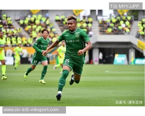 冈山绿雉迎战赞岐釜玉8月5日精彩对决展望与分析